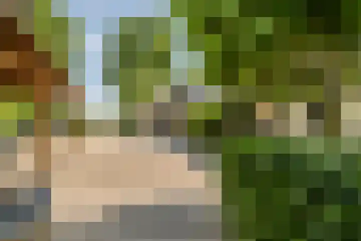 Broeksestraat 65 Babyloniënbroek thumbnail 5