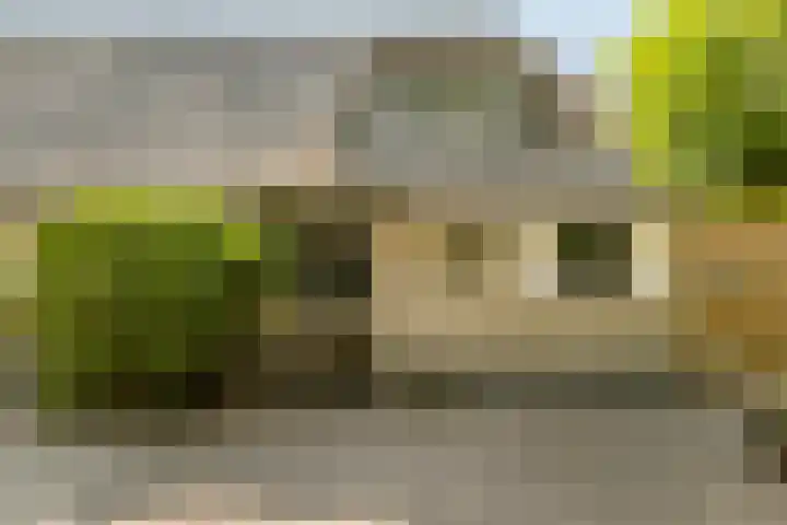 Broeksestraat 65 Babyloniënbroek thumbnail 7