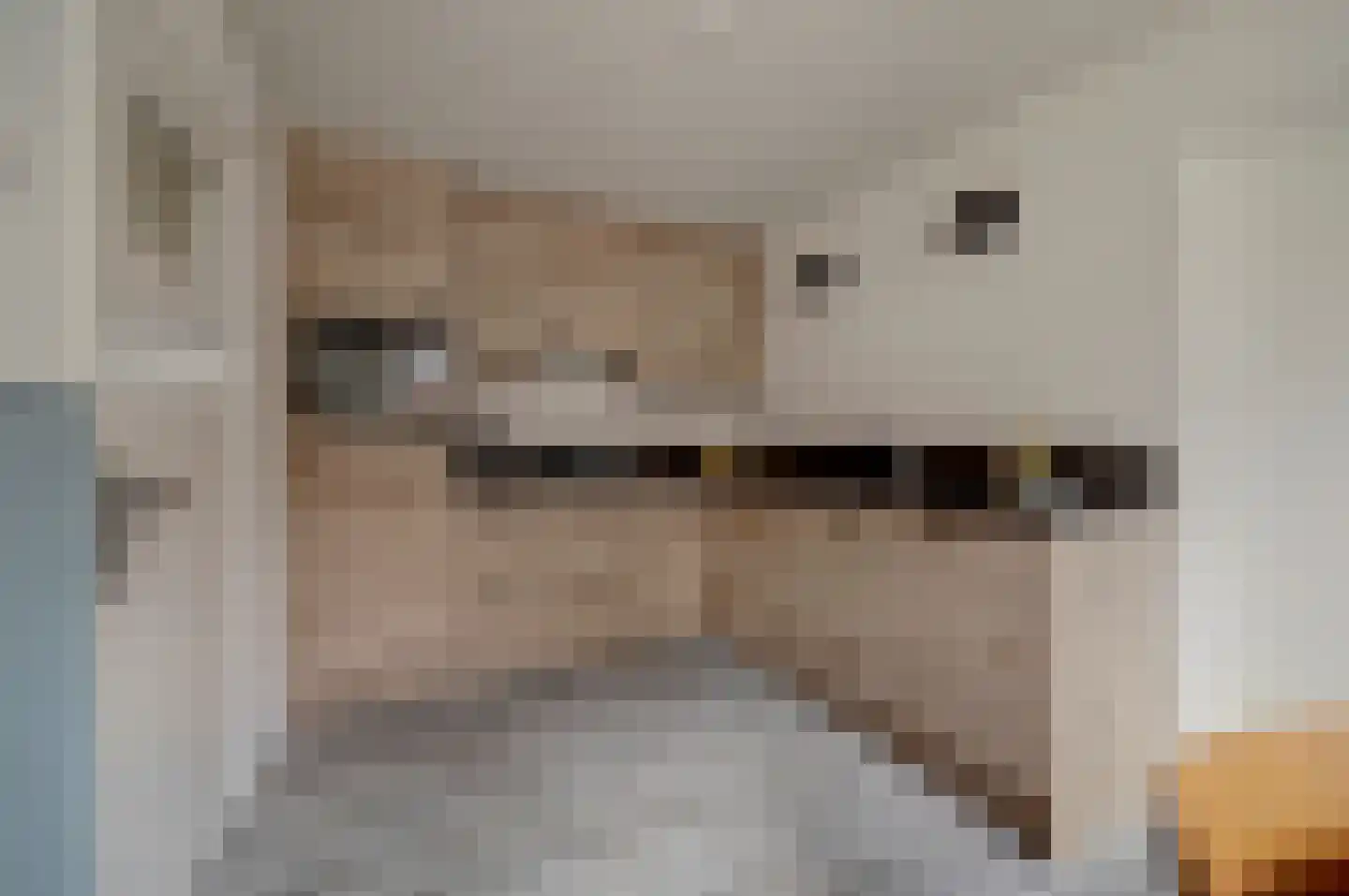 Broekseweg 12 Meerkerk thumbnail 13