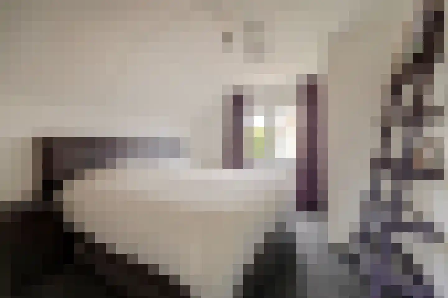 Broekseweg 12 Meerkerk thumbnail 20
