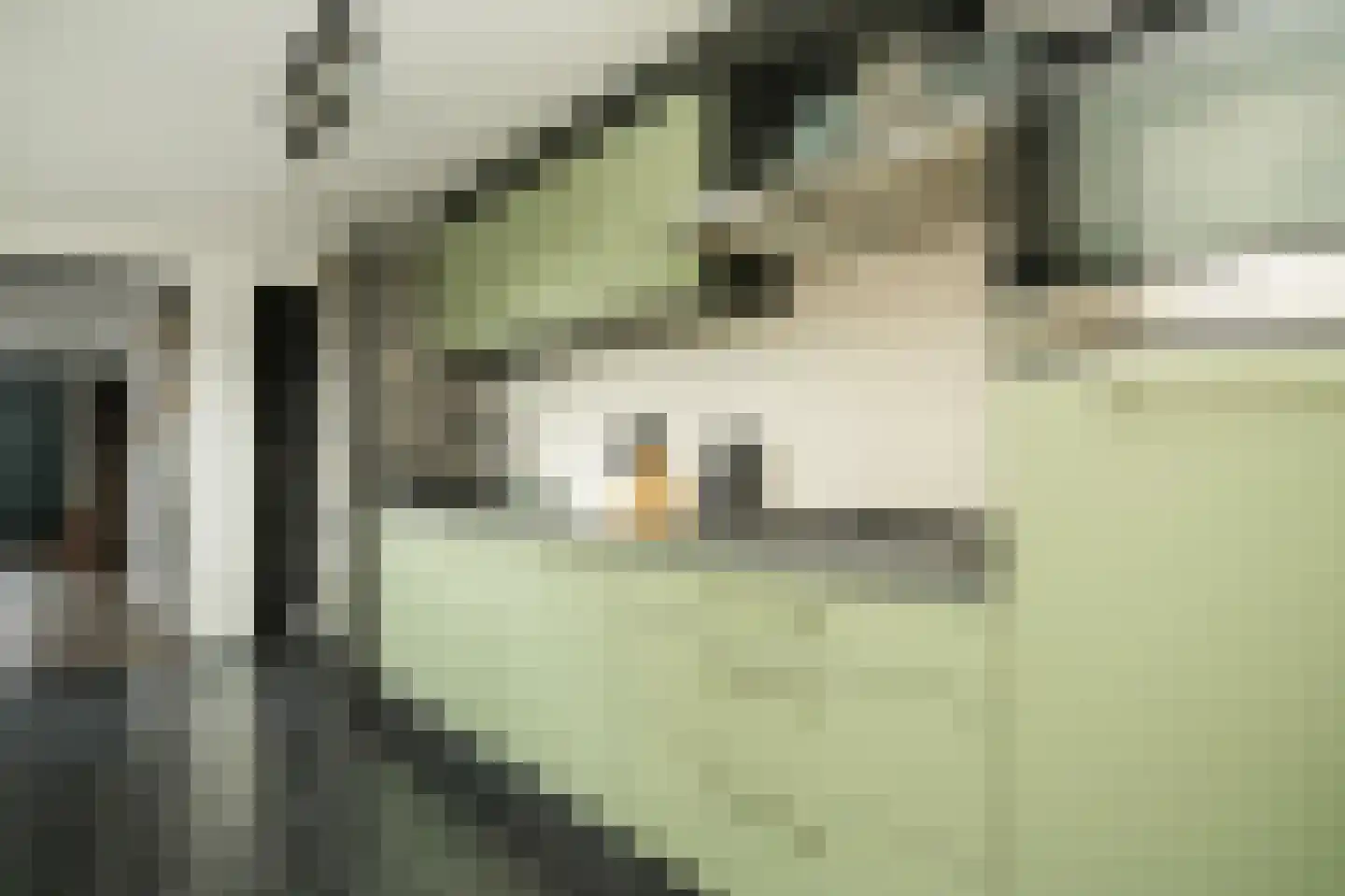 Broekseweg 23 Ameide thumbnail 13