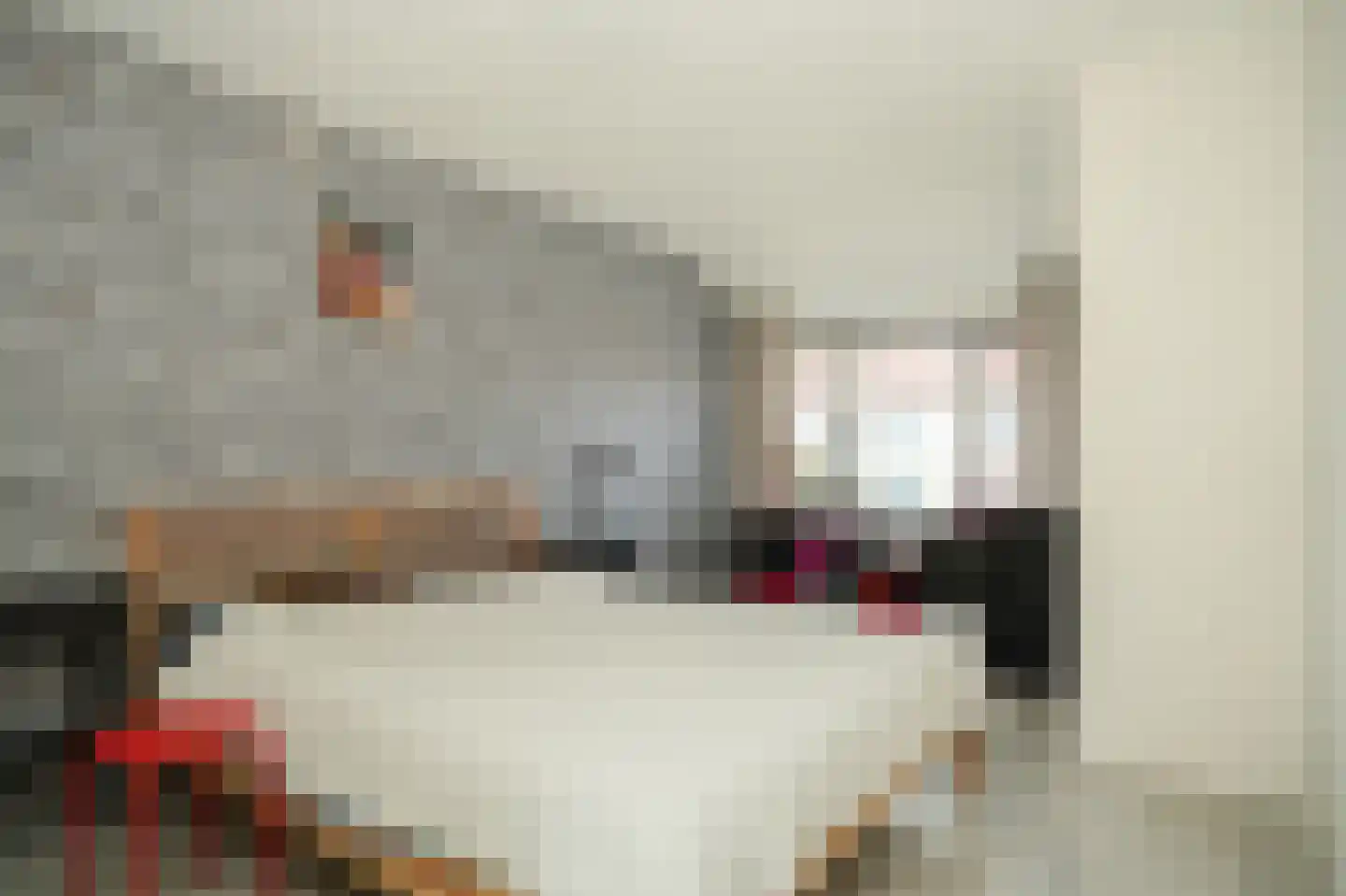 Broekseweg 23 Ameide thumbnail 18