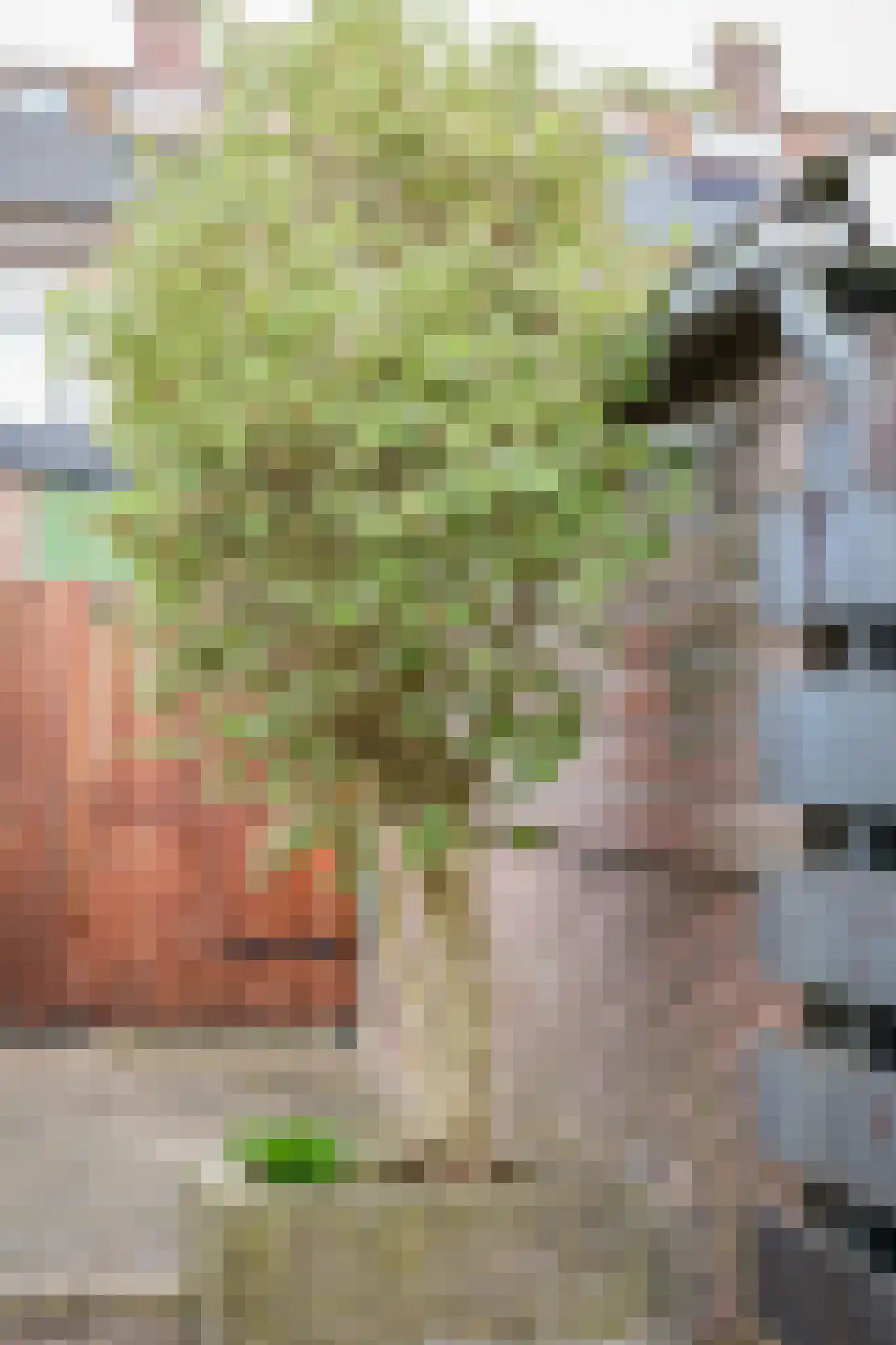 Broekseweg 23 Ameide thumbnail 27