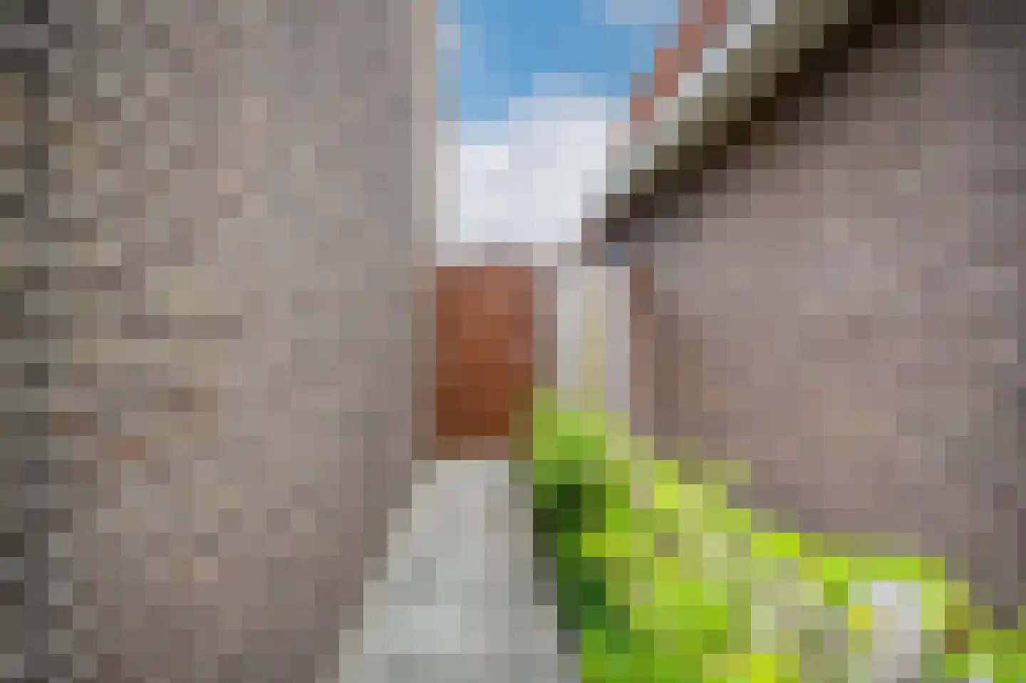 Broekseweg 23 Ameide thumbnail 29