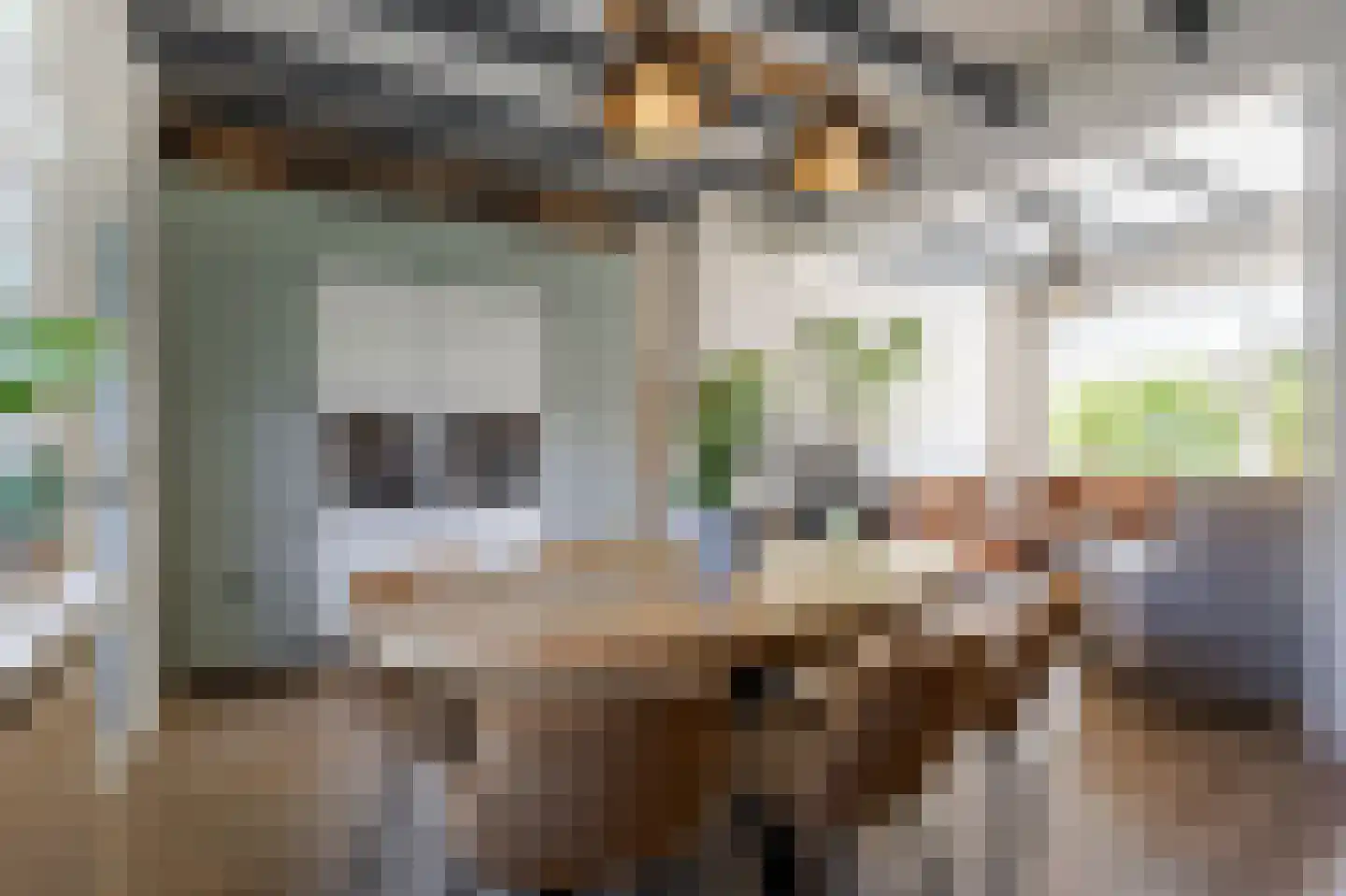 Broekseweg 35 Ameide thumbnail 11