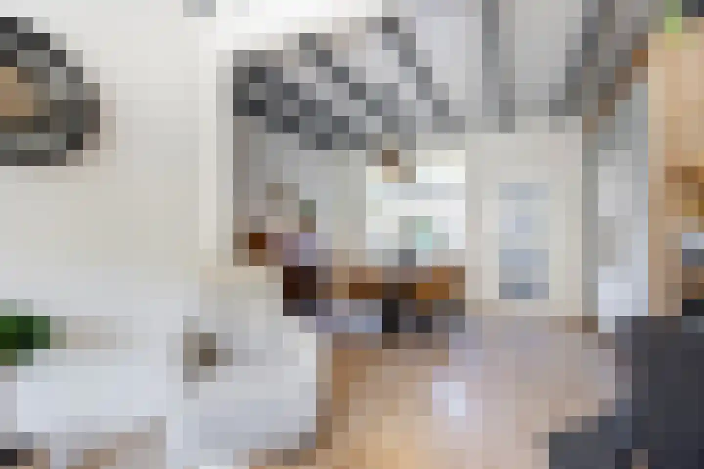Broekseweg 35 Ameide thumbnail 13