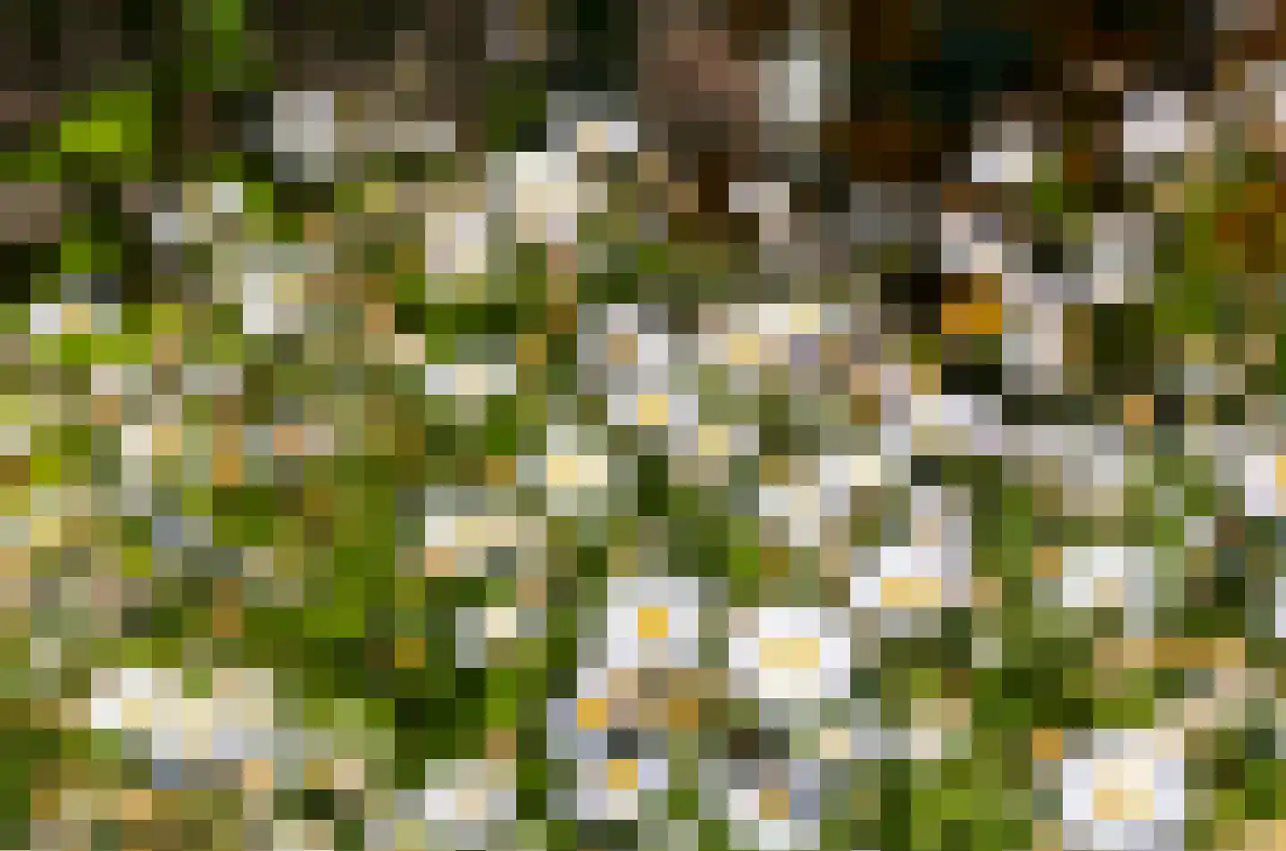 Broekseweg 35 Ameide thumbnail 34