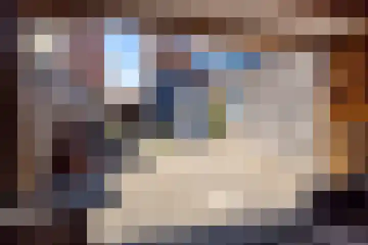 Broekseweg 53 Ameide thumbnail 29