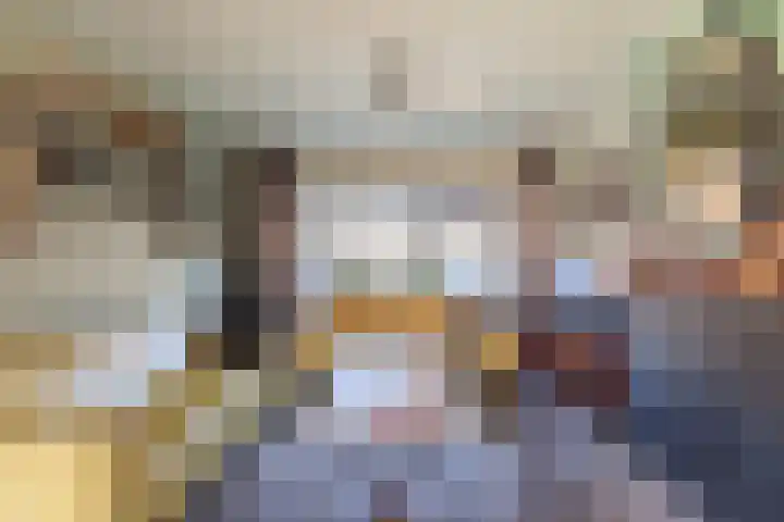 Broekseweg 56 Ameide thumbnail 17