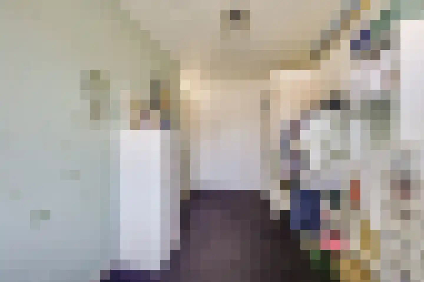 Broekseweg 63 Ameide thumbnail 17