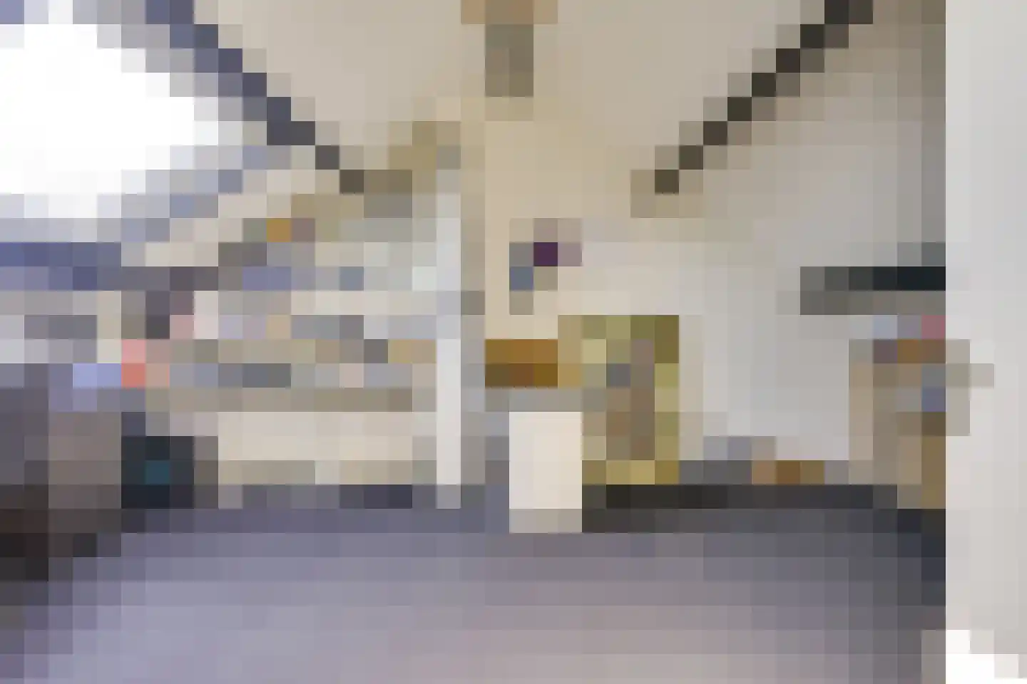 Broekseweg 63 Ameide thumbnail 24
