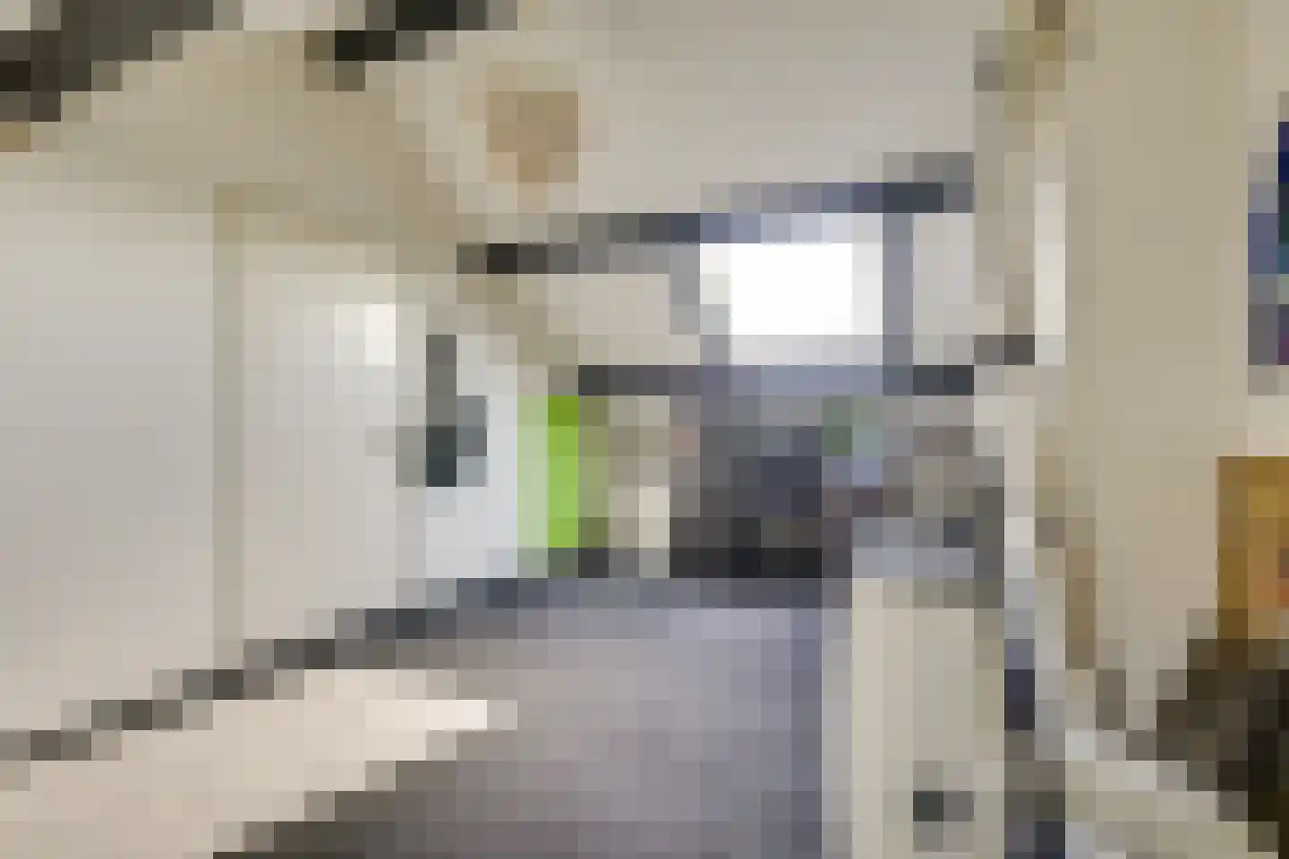 Broekseweg 63 Ameide thumbnail 25