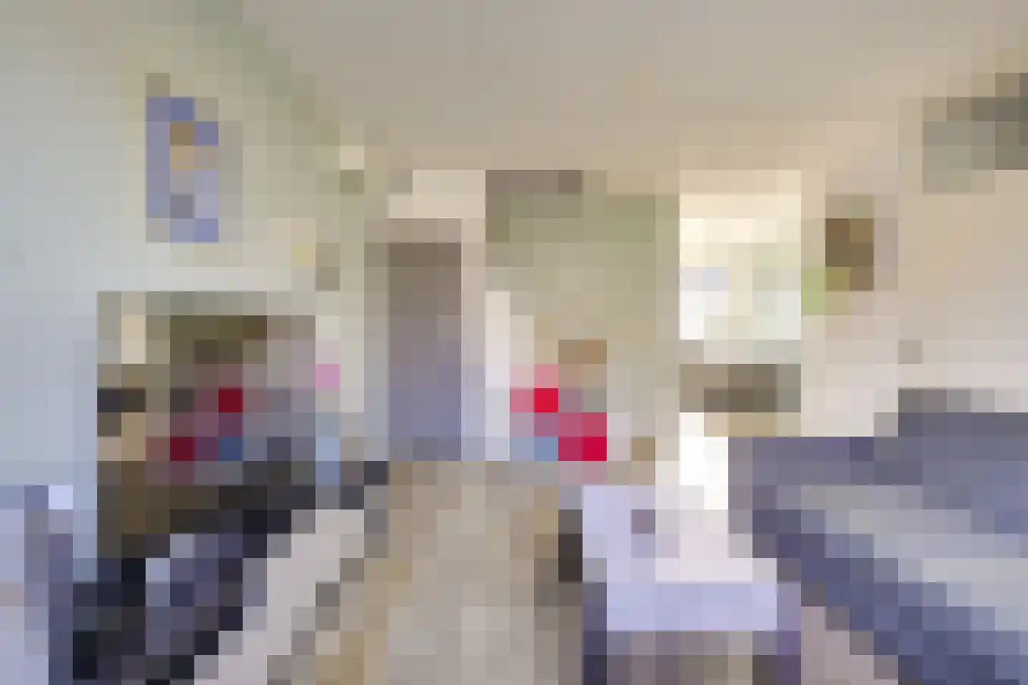 Broekseweg 63 Ameide thumbnail 8