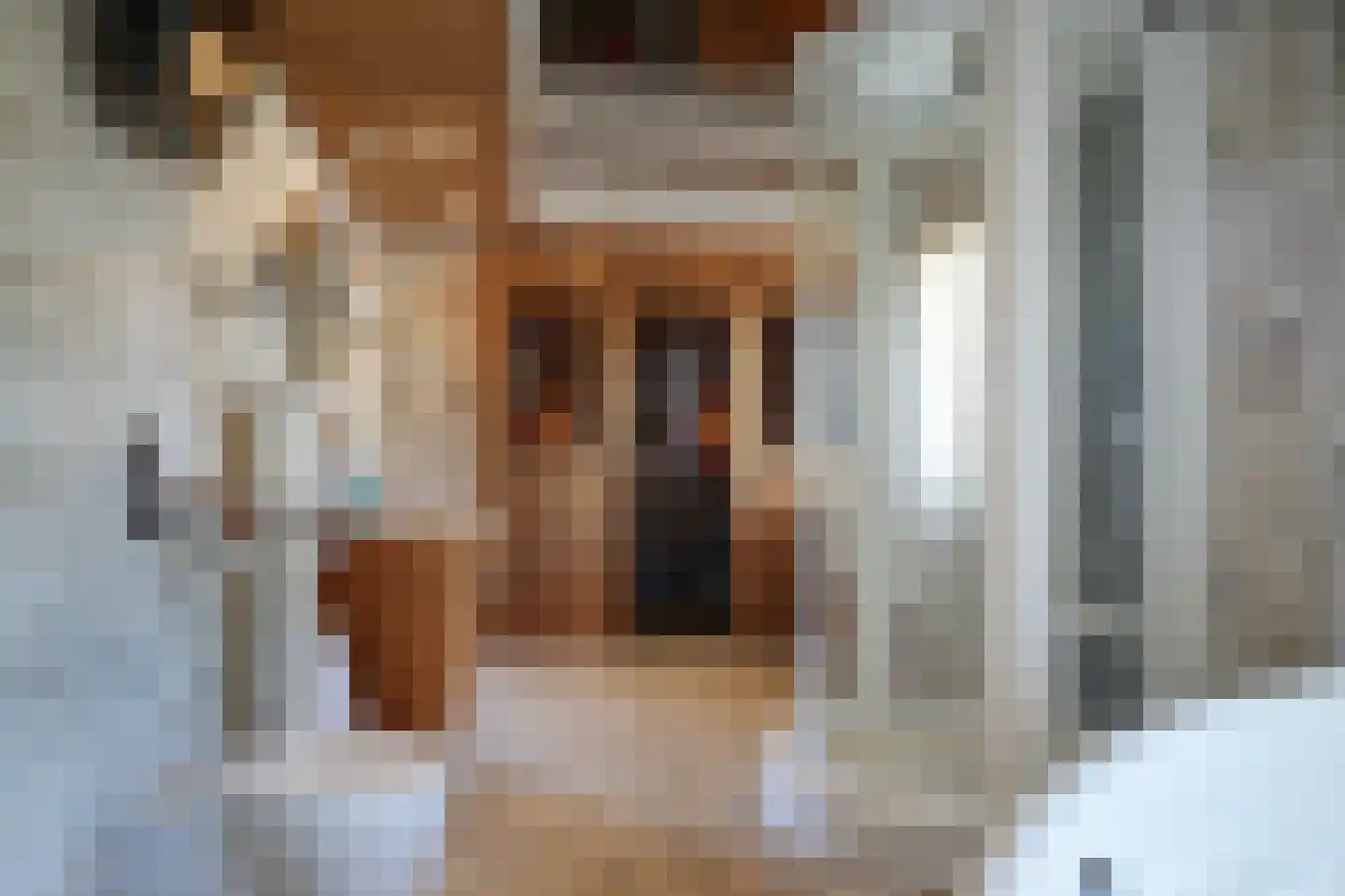 Broekseweg 64 Meerkerk thumbnail 25