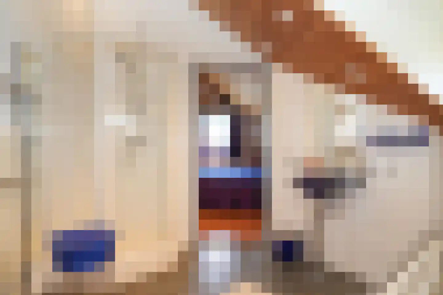 Broekseweg 64 Meerkerk thumbnail 34