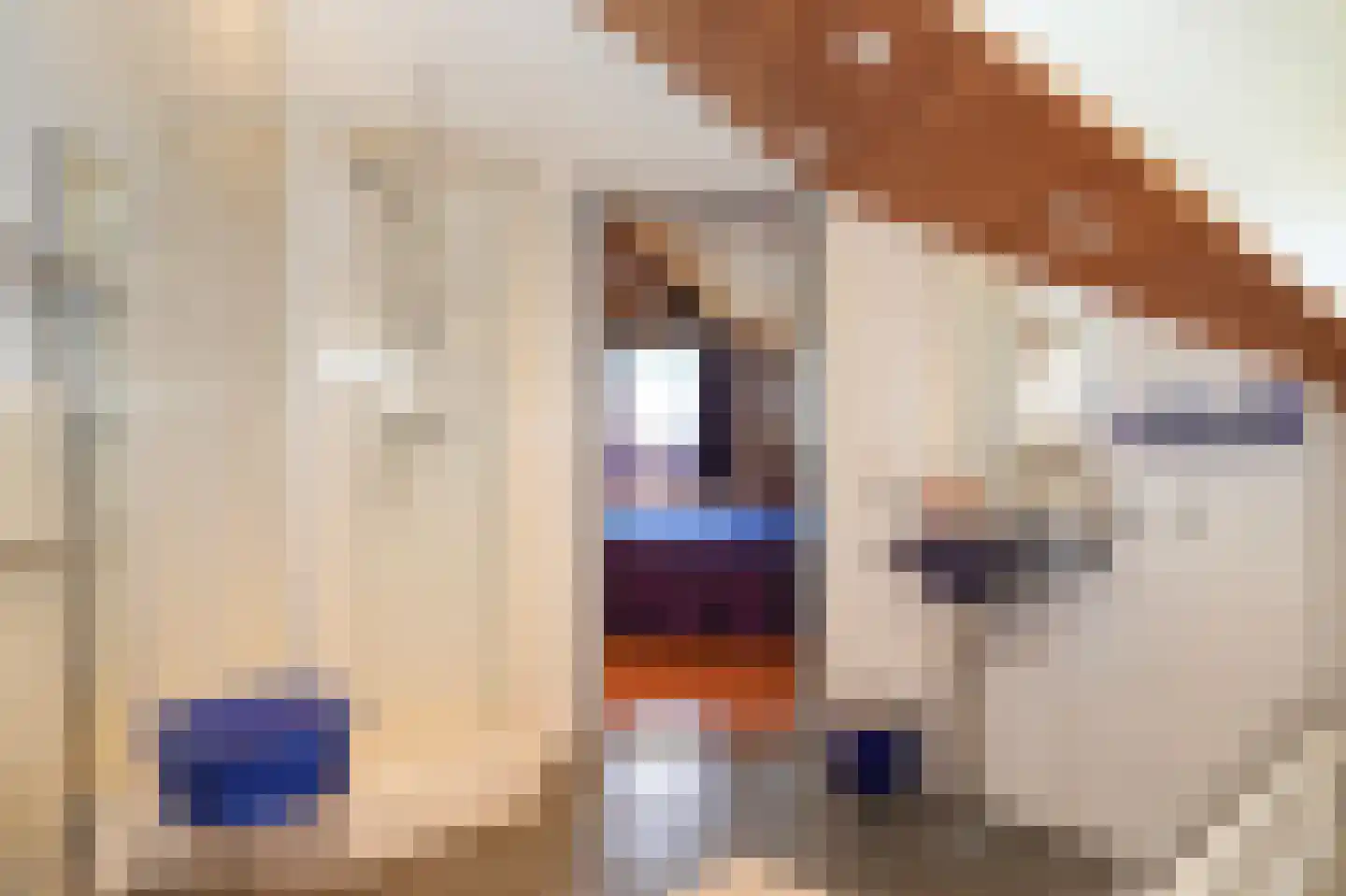 Broekseweg 64 Meerkerk thumbnail 34