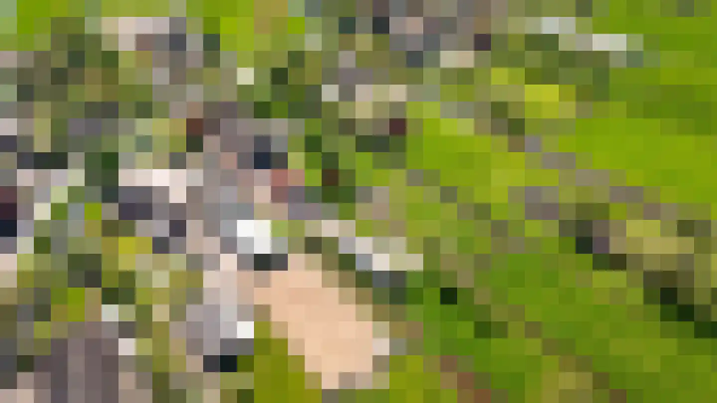 Broekseweg 64 Meerkerk thumbnail 62