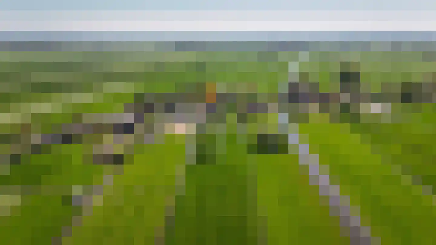 Broekseweg 64 Meerkerk thumbnail 63