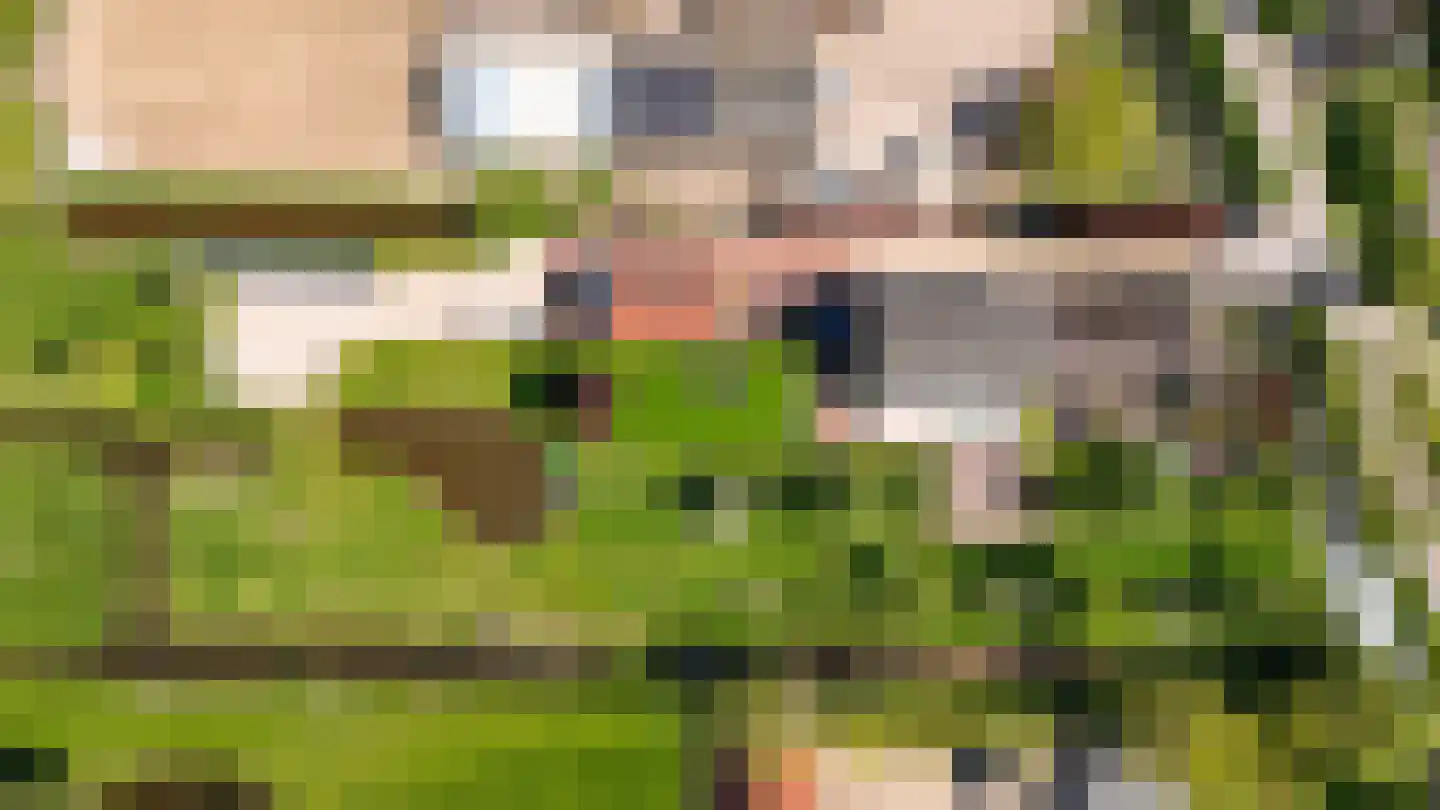Broekseweg 64 Meerkerk thumbnail 64