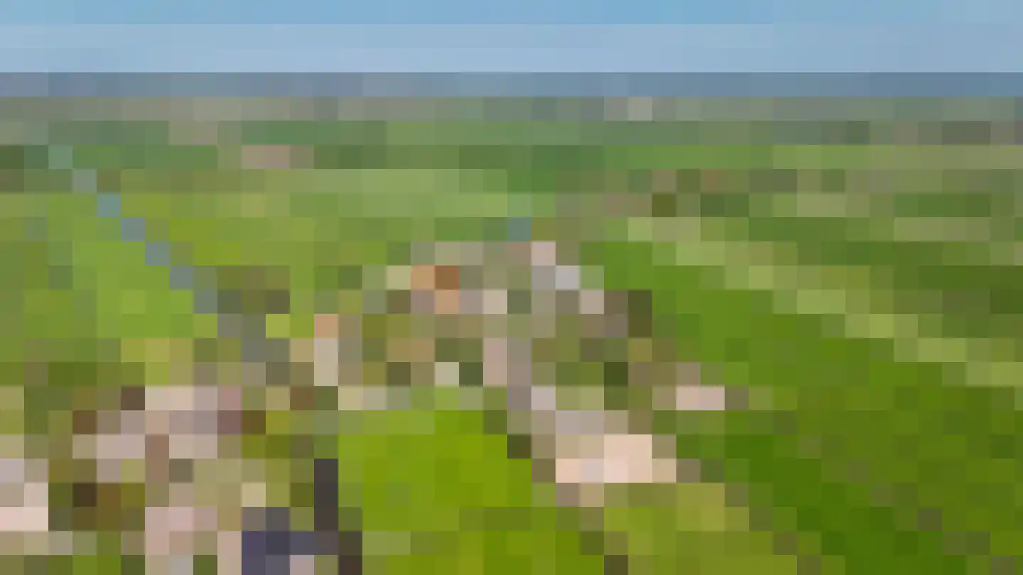 Broekseweg 64 Meerkerk thumbnail 65