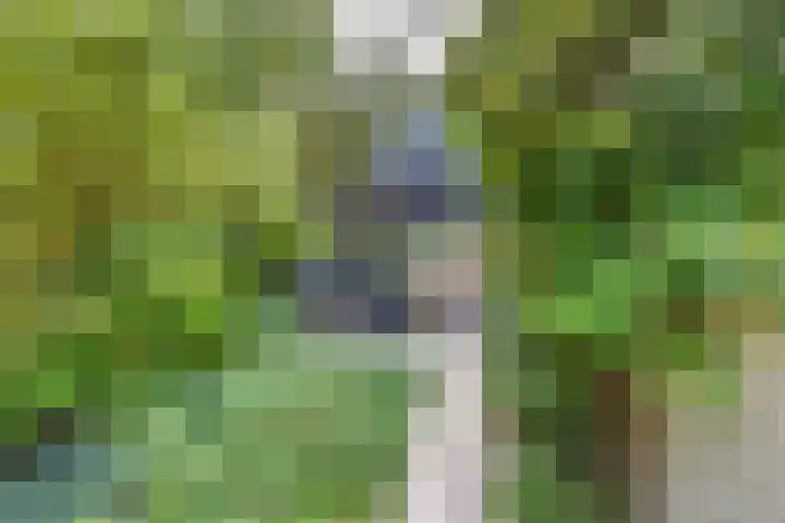 Broeksingel 20 Malden thumbnail 9