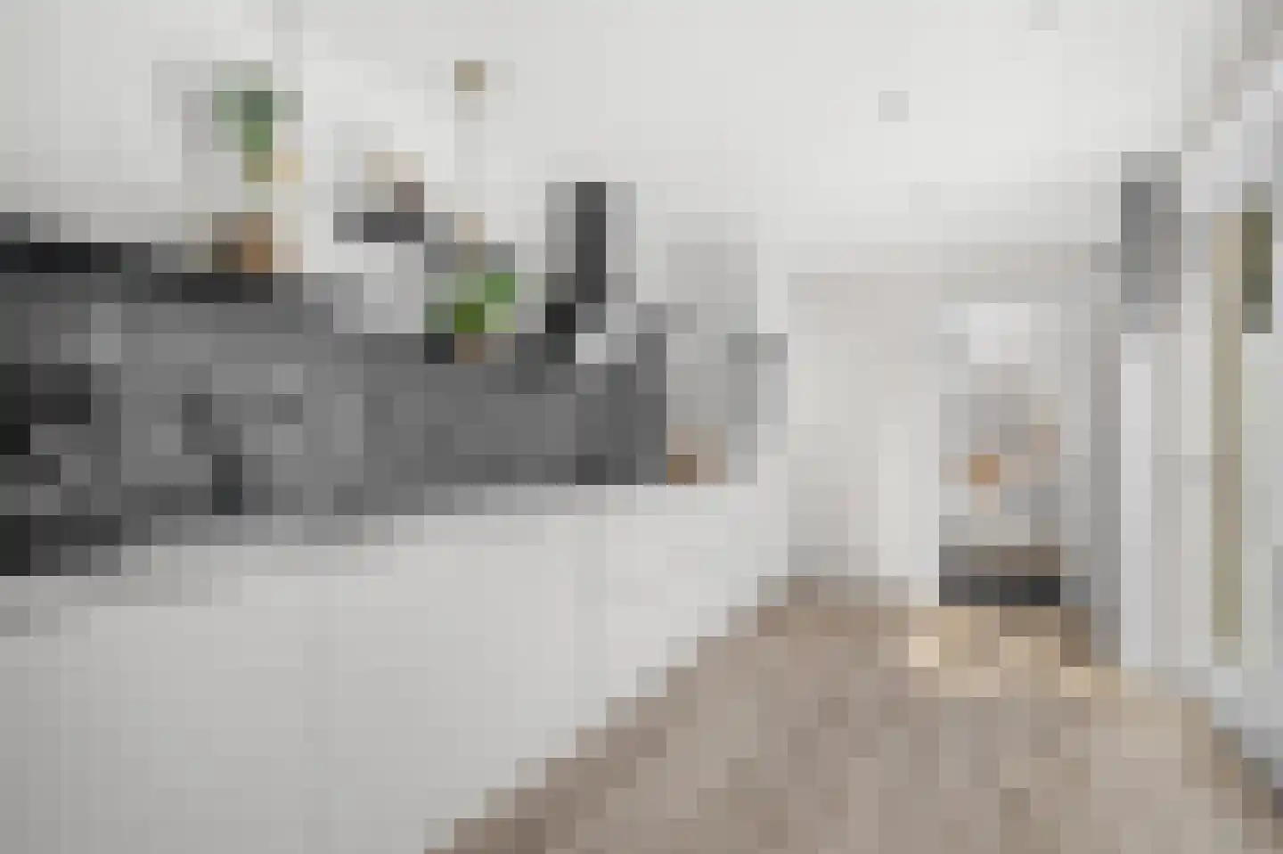 Broekslag 7 Wijhe thumbnail 12