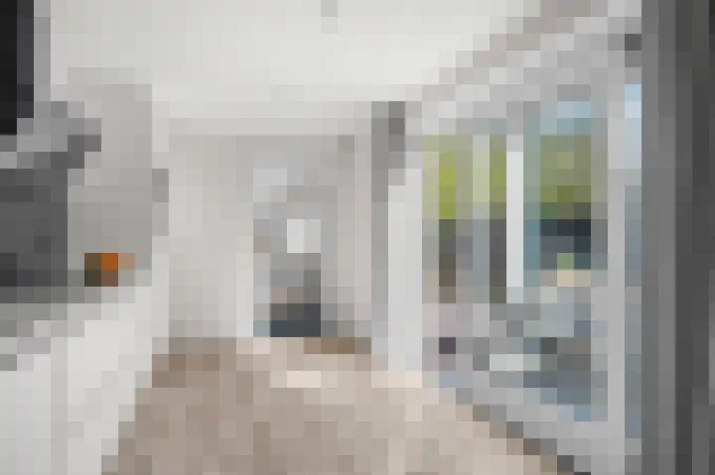 Broekslag 7 Wijhe thumbnail 16