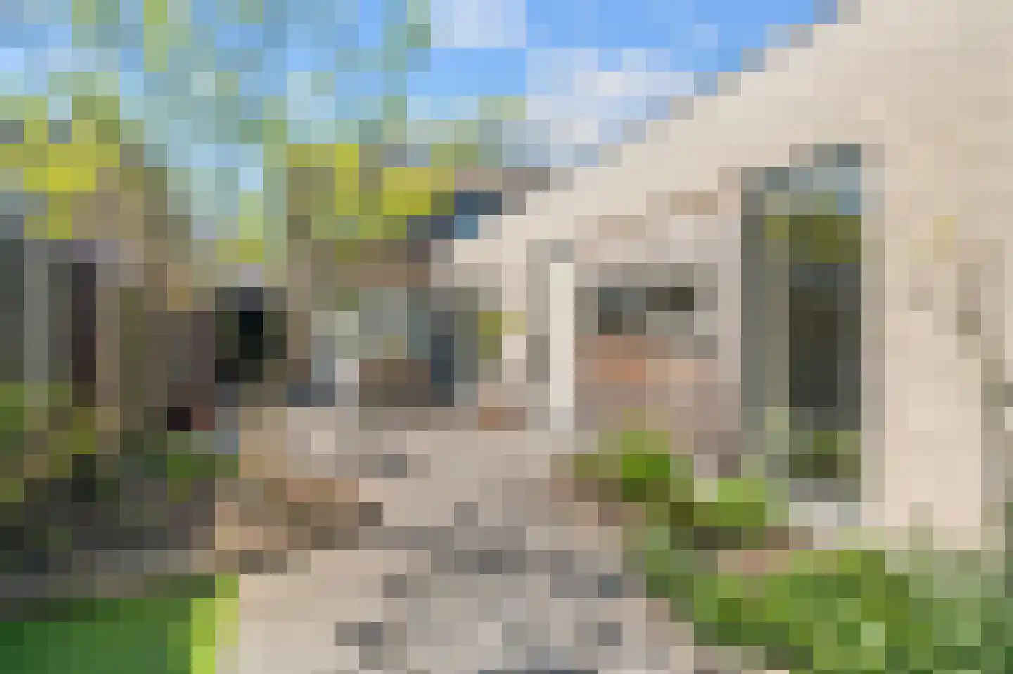 Broekslag 7 Wijhe thumbnail 34