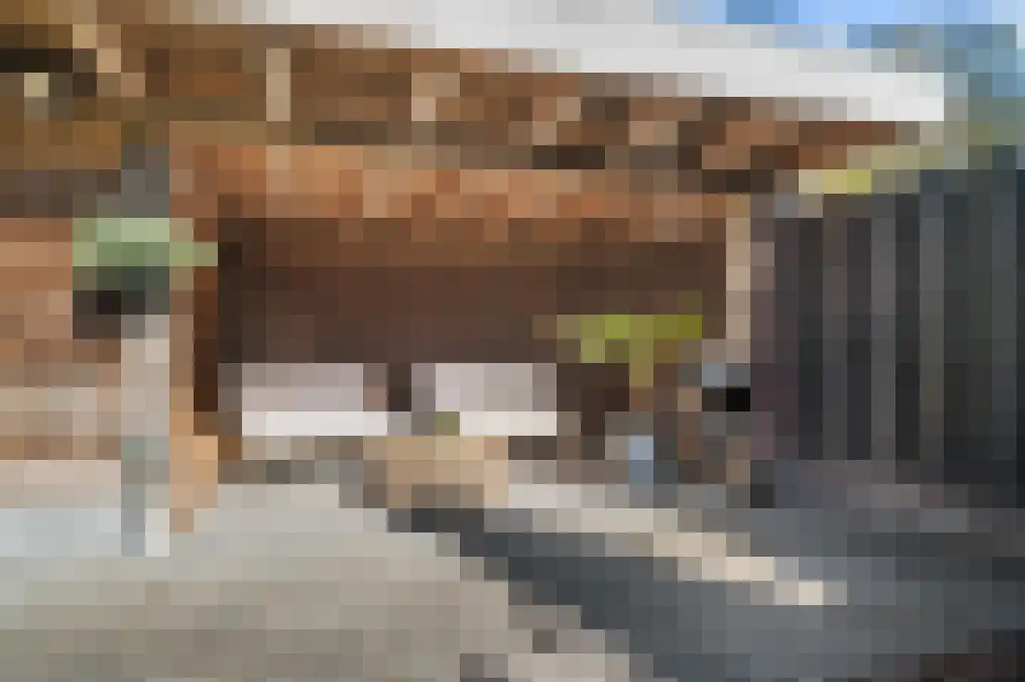 Broekslag 7 Wijhe thumbnail 38