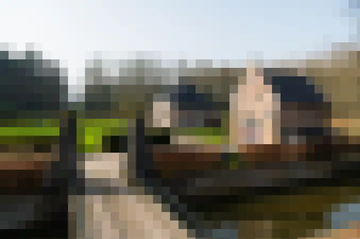 Broekslag 7 Wijhe thumbnail 44