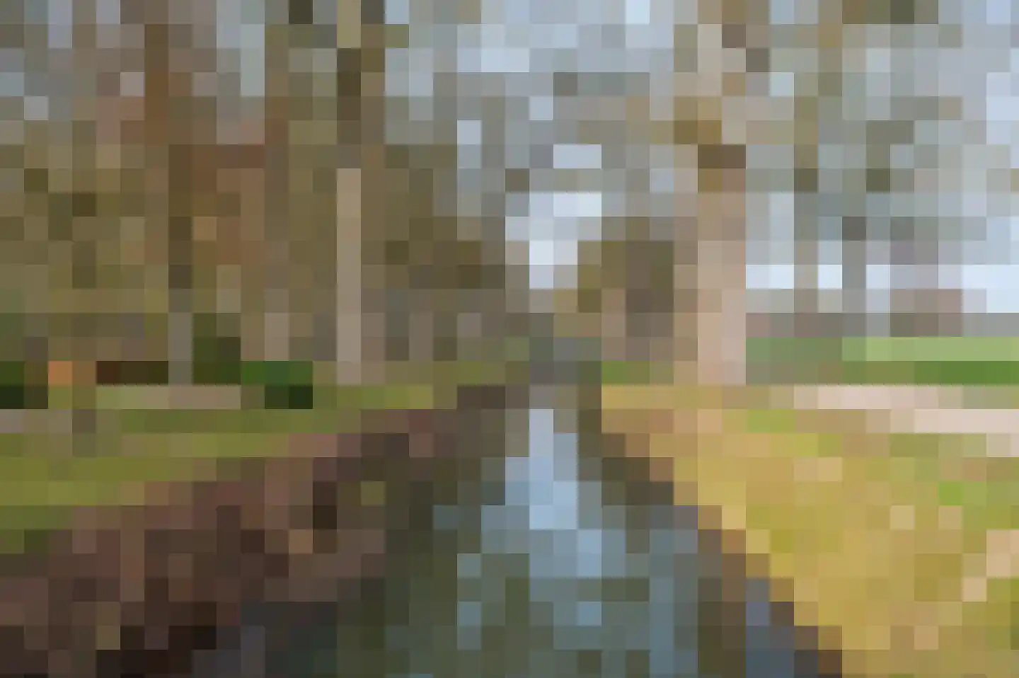 Broekslag 7 Wijhe thumbnail 45