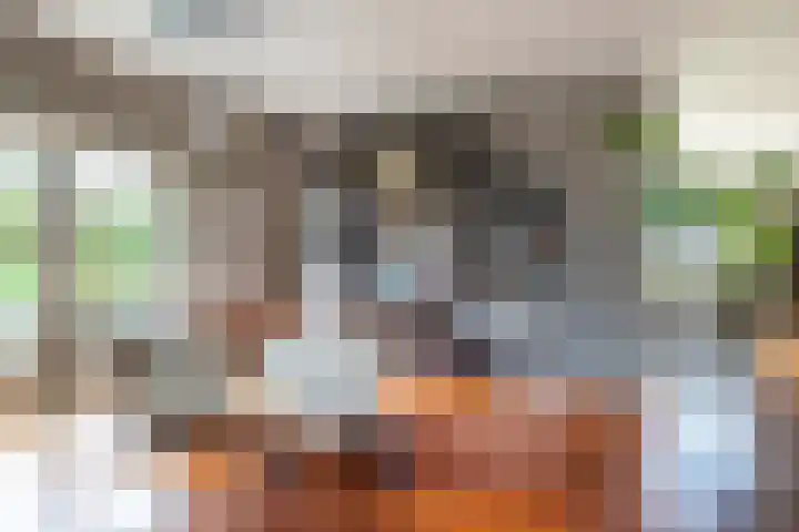 Broeksloot 6 Zegveld thumbnail 17