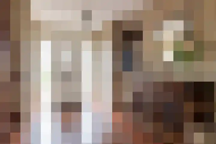 Broeksloot 6 Zegveld thumbnail 22
