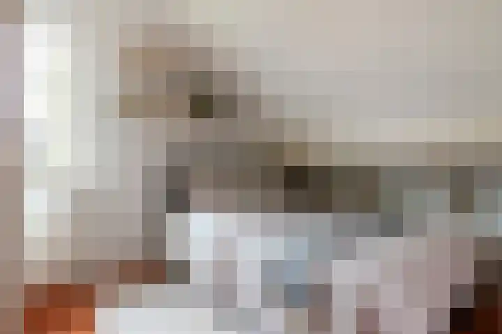 Broeksloot 6 Zegveld thumbnail 34