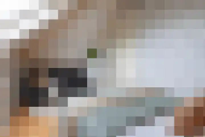 Broeksloot 6 Zegveld thumbnail 41