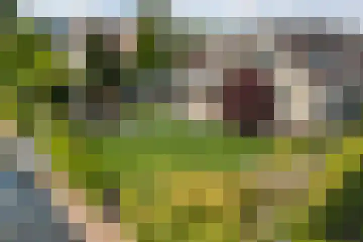 Broeksloot 6 Zegveld thumbnail 42