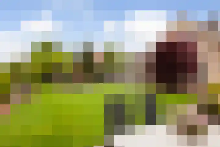 Broeksloot 6 Zegveld thumbnail 45
