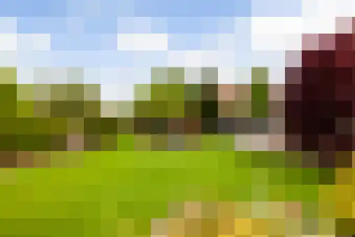 Broeksloot 6 Zegveld thumbnail 46