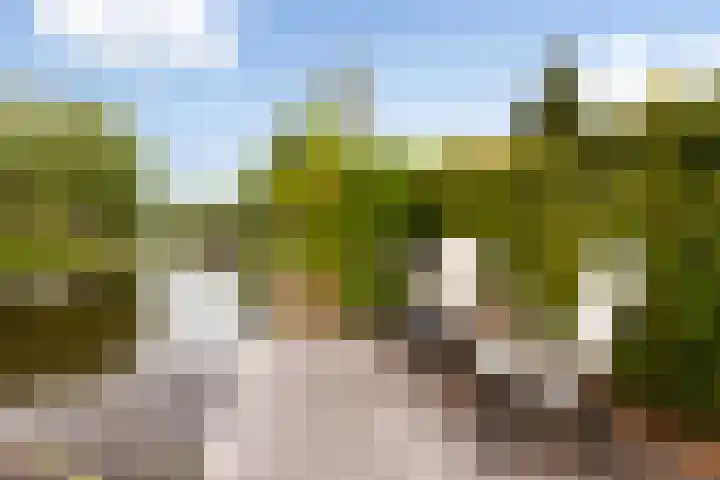 Broeksloot 6 Zegveld thumbnail 47