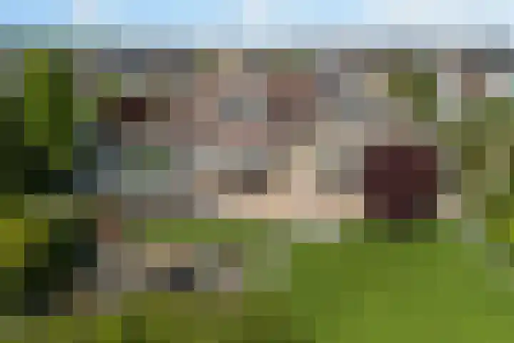Broeksloot 6 Zegveld thumbnail 48