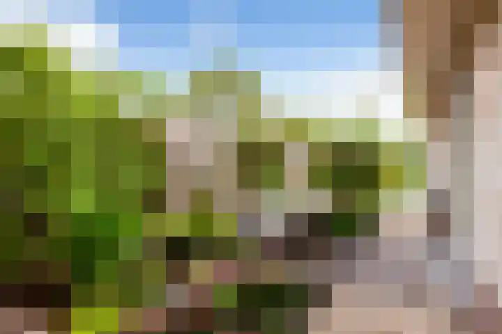 Broeksloot 6 Zegveld thumbnail 49