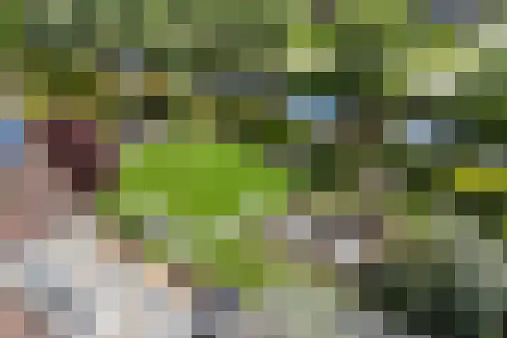 Broeksloot 6 Zegveld thumbnail 50