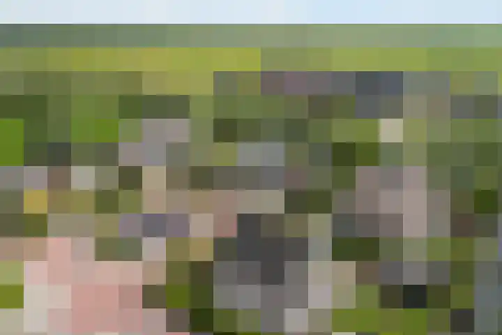 Broeksloot 6 Zegveld thumbnail 52