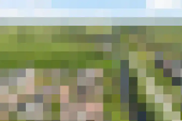 Broeksloot 6 Zegveld thumbnail 53