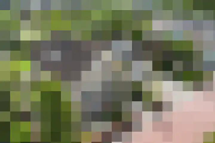Broeksloot 6 Zegveld thumbnail 60