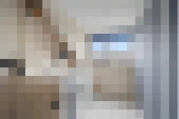 Broeksloot 74 Zegveld thumbnail 22