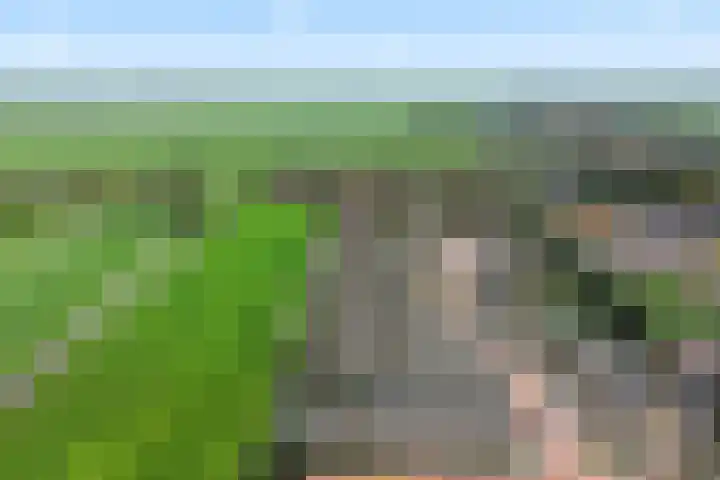 Broeksloot 74 Zegveld thumbnail 29