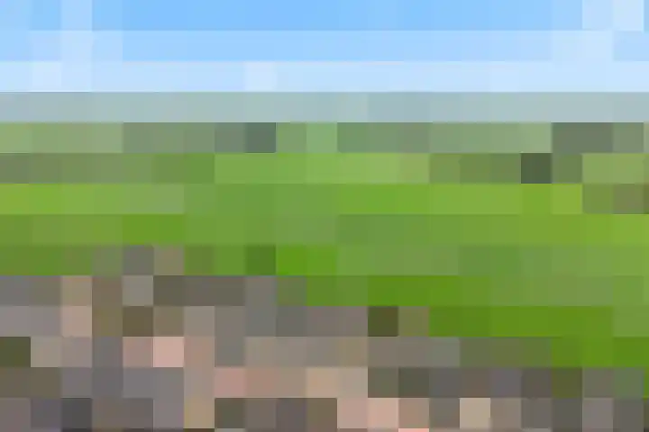 Broeksloot 74 Zegveld thumbnail 30