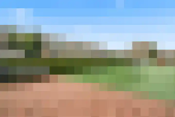 Broeksloot 74 Zegveld thumbnail 31