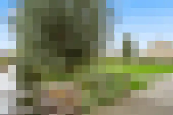 Broeksloot 74 Zegveld thumbnail 32